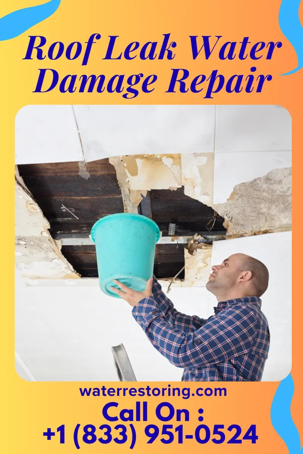 Roof Leak Water Damage Repair in Wells Branch, TX